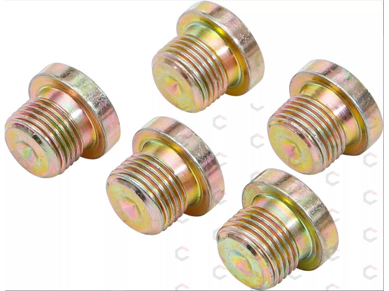 Alyvos išleidimo kamštis | BGS 126 | M17 x 1,5 mm | 5 vnt. (126-SM17) 1 Alyvos išleidimo kamštis | BGS 126 | M17 x 1,5 mm | 5 vnt. (126-SM17) 1