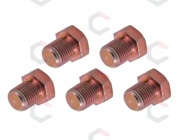 Alyvos išleidimo varžtai | BGS 123 | M13 x 1.25 | 5 vnt. (123-SM13) Alyvos išleidimo varžtai | BGS 123 | M13 x 1.25 | 5 vnt. (123-SM13)