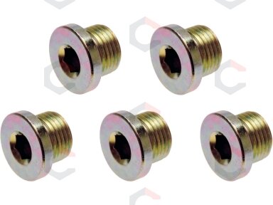 Alyvos išleidimo varžtai | iš BGS 126 | M20 x 1,5 mm | 5 vnt. (126-SM20) Alyvos išleidimo varžtai | iš BGS 126 | M20 x 1,5 mm | 5 vnt. (126-SM20)