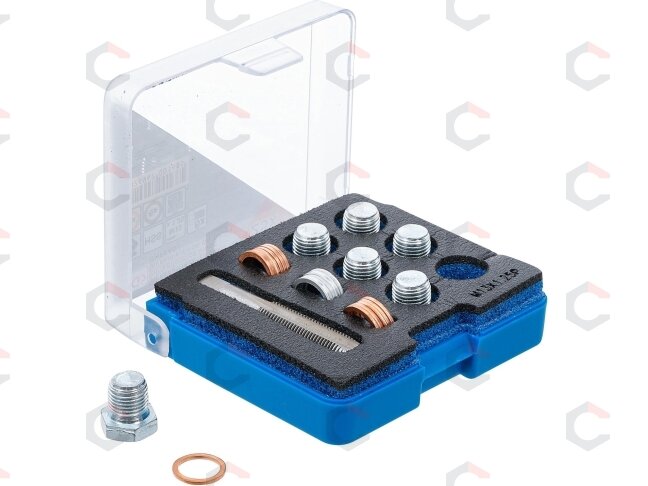 Alyvos išleidimo srauto remonto komplektas | M13 x 1,25 mm (168)