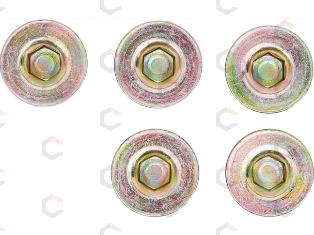 Alyvos išleidimo kamštis | BGS 126 | M17 x 1,5 mm | 5 vnt. (126-SM17) 2 Alyvos išleidimo kamštis | BGS 126 | M17 x 1,5 mm | 5 vnt. (126-SM17) 2