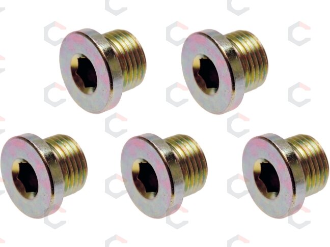 Alyvos išleidimo varžtai | iš BGS 126 | M20 x 1,5 mm | 5 vnt. (126-SM20) Alyvos išleidimo varžtai | iš BGS 126 | M20 x 1,5 mm | 5 vnt. (126-SM20)
