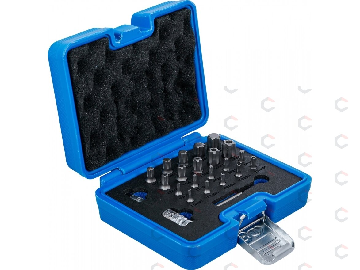 Antgalių rinkinys | TS-Star (Torx Plus) | 23 vnt. (5056) Antgalių rinkinys | TS-Star (Torx Plus) | 23 vnt. (5056)