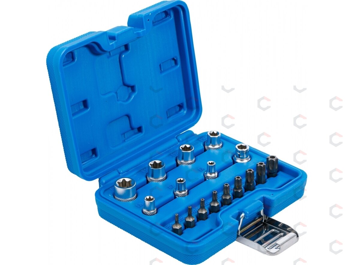 Antgalių rinkinys | E-Type / T-Star (Torx) | 17 vnt. (5023) 1