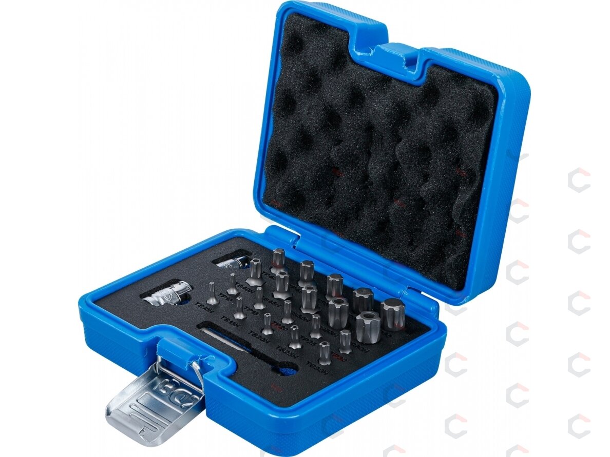 Antgalių rinkinys | TS-Star (Torx Plus) | 23 vnt. (5056) 2 Antgalių rinkinys | TS-Star (Torx Plus) | 23 vnt. (5056) 2