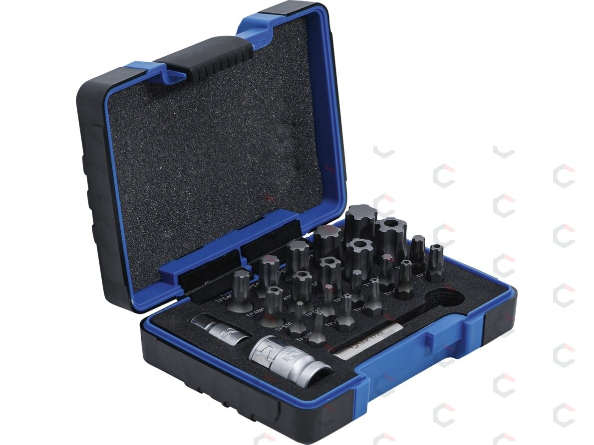 Antgalių rinkinys | TS profilis PLUS (Torx Plus) | 23 vnt. (4993) 1 Antgalių rinkinys | TS profilis PLUS (Torx Plus) | 23 vnt. (4993) 1