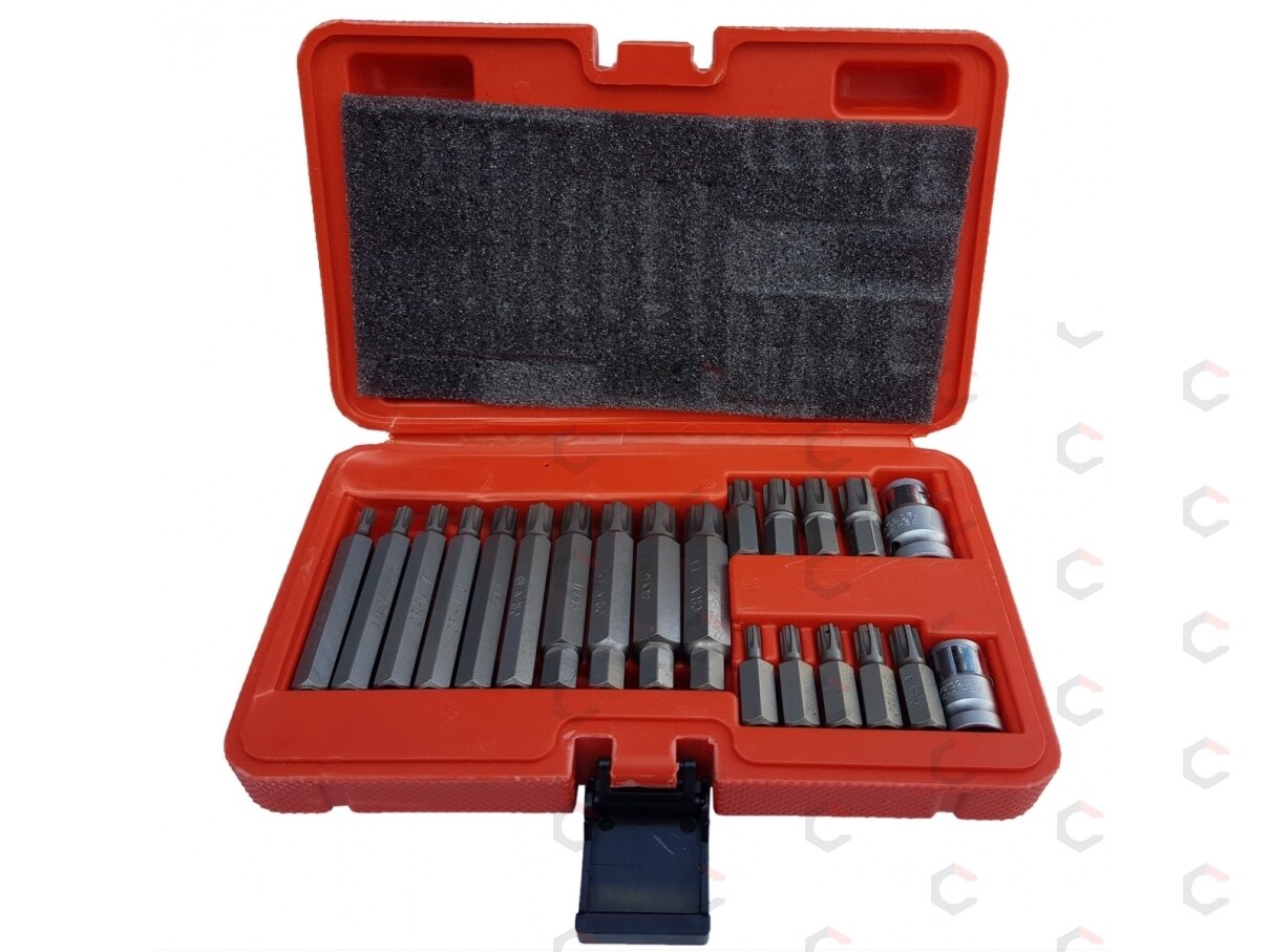 Antgalių komplektas | 10 mm (3/8") storis | Spline (Ribe) | 21 vnt. (RB21S) 4