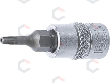 Antgalis 1/4" įpresuotas į galvutę su skyle, penkiakampis TS10x38mm (5184-TS10)