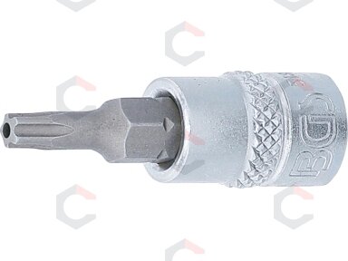 Antgalis 1/4" įpresuotas į galvutę su skyle, penkiakampis TS20x38mm (5184-TS20)