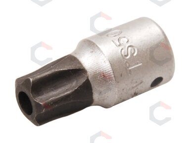 Antgalis 5-kampis 1/4" TS-Star su skyle TS50 (2355-TS50) Antgalis 5-kampis 1/4" TS-Star su skyle TS50 (2355-TS50)