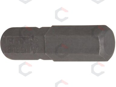 Antgalis | 6.3 mm (1/4") | hex šešiakampis 7 mm (8182)