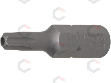 Antgalis | 6,3 mm (1/4") | T-Star su skyle (Torx) T20 (2441) Antgalis | 6,3 mm (1/4") | T-Star su skyle (Torx) T20 (2441)