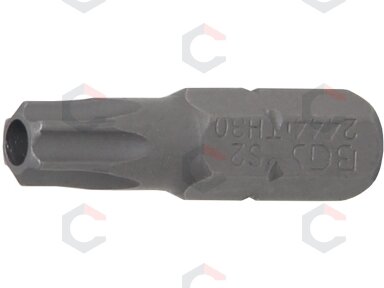 Antgalis | 6.3 mm (1/4") | T-star su skyle (Torx) T30 (2444) Antgalis | 6.3 mm (1/4") | T-star su skyle (Torx) T30 (2444)