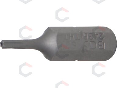 Antgalis | 6,3 mm (1/4") | T-Star su skyle (Torx) T7 (2436) Antgalis | 6,3 mm (1/4") | T-Star su skyle (Torx) T7 (2436)