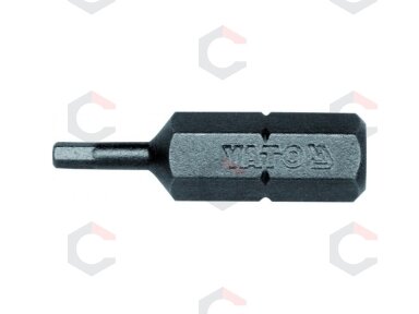 Antgalis Hex 1/4"x 25MM, dydis H2, S2 50 vnt (YT-7829) Antgalis Hex 1/4"x 25MM, dydis H2, S2 50 vnt (YT-7829)