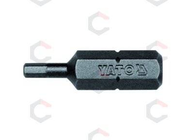 Antgalis Hex 1/4"x 25MM, dydis H2.5, S2 50 vnt (YT-7830) Antgalis Hex 1/4"x 25MM, dydis H2.5, S2 50 vnt (YT-7830)