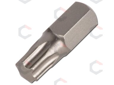 Antgalis | ilgis 30 mm | 10 mm (3/8") storis | T-Star (Torx) T50 (4874)