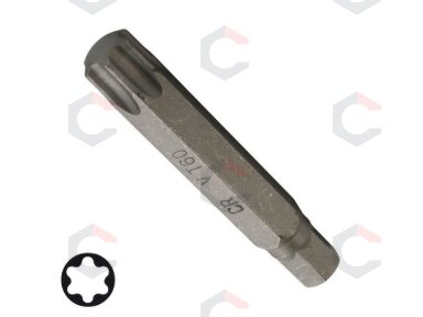 Antgalis | ilgis 75 mm | 14 mm storis | T-Star (Torx) T60 (4576) Antgalis | ilgis 75 mm | 14 mm storis | T-Star (Torx) T60 (4576)