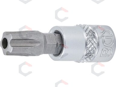 Antgalis įpresuotas | 6,3 mm (1/4") | T-Star (Torx) penkiakampis TS45 (5184-TS45)