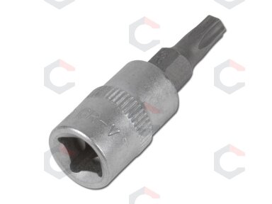 Antgalis įpresuotas į 1/4" galvutę T10 be skylės (VG-14BT10)