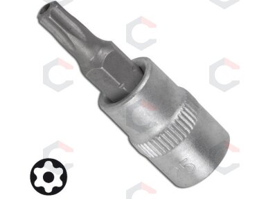 Antgalis įpresuotas į 1/4" galvutę T10 su skyle (FC2608-T10)