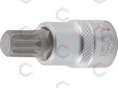 Antgalis įpresuotas į galvutę | 10 mm (3/8") | Spline (XZN) M12 (2587)