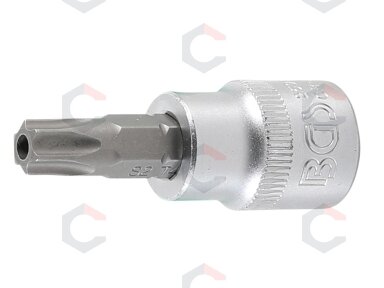 Antgalis įpresuotas į galvutę | 10 mm (3/8") | T-Star su skyle | (Torx) T55 (2599)