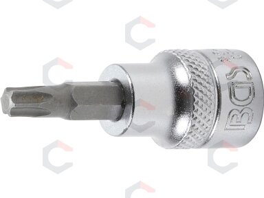 Antgalis įpresuotas į galvutę | 10 mm (3/8") | T-Star (Torx) T25 (2543)