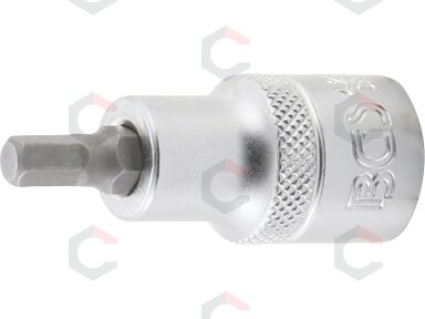Antgalis įpresuotas į galvutę | 12,5 mm (1/2") | hex šešiakampis 6 mm (4252) Antgalis įpresuotas į galvutę | 12,5 mm (1/2") | hex šešiakampis 6 mm (4252)