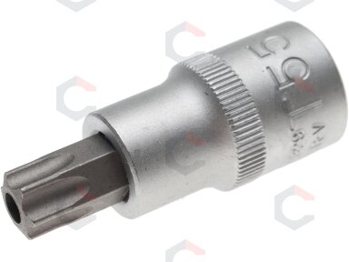 Antgalis įpresuotas į galvutę | 12,5 mm (1/2") | T-Star su skyle (Torx) T55 (4329)
