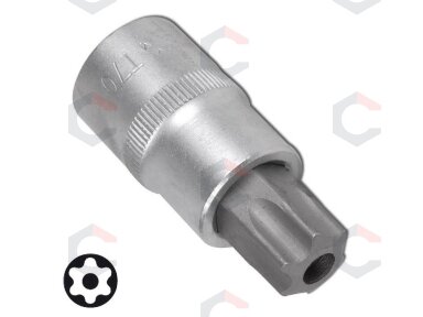 Antgalis įpresuotas į galvutę | 12,5 mm (1/2") | T-Star su skyle (Torx) T60 (4376)