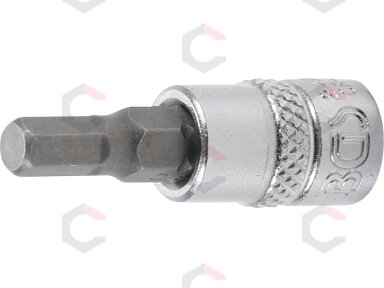 Antgalis įpresuotas į galvutę | 6,3 mm (1/4") | hex šešiakampis 5 mm (2499)