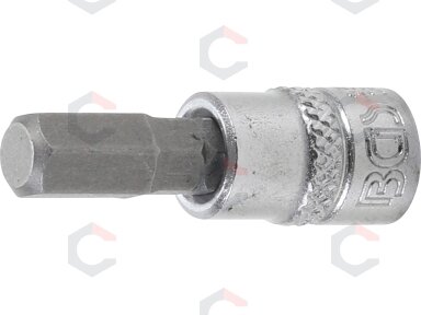 Antgalis įpresuotas į galvutę | 6,3 mm (1/4") | hex šešiakampis 7 mm (2501) Antgalis įpresuotas į galvutę | 6,3 mm (1/4") | hex šešiakampis 7 mm (2501)