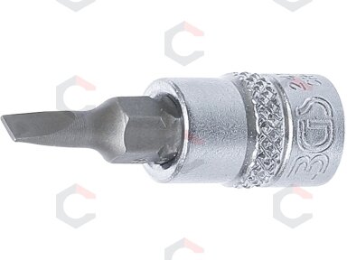 Antgalis įpresuotas į galvutę | 6,3 mm (1/4") | plokščias SL 4 mm (2493) Antgalis įpresuotas į galvutę | 6,3 mm (1/4") | plokščias SL 4 mm (2493)