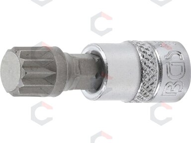 Antgalis įpresuotas į galvutę | 6.3 mm (1/4") | Spline (XZN) M10 (2506) Antgalis įpresuotas į galvutę | 6.3 mm (1/4") | Spline (XZN) M10 (2506)