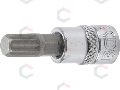 Antgalis įpresuotas į galvutę | 6.3 mm (1/4") | Spline (XZN) M8 (2503) Antgalis įpresuotas į galvutę | 6.3 mm (1/4") | Spline (XZN) M8 (2503)