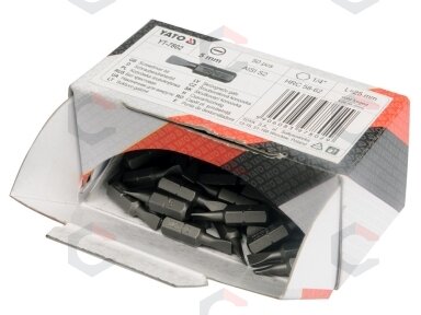 Antgalis kryžminis 1/4"x25MM, dydis PZ2, S2 50 vnt (YT-7811)