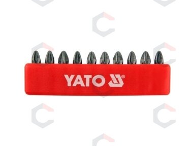 Antgalis PZ2x25 mm 10 vnt. (YT-0471)