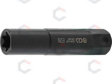 Antgalis smūginis / galvutė | ilgis 100 mm | 22 mm storio | E-tipas | E20 (5246-E20) Antgalis smūginis / galvutė | ilgis 100 mm | 22 mm storio | E-tipas | E20 (5246-E20)