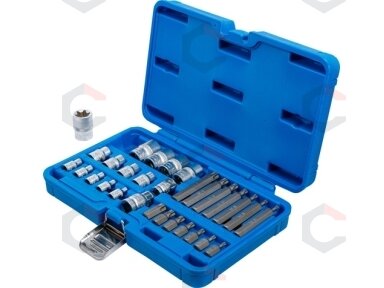 Antgalių ir galvučių rinkinys | E-Type / T-Star (Torx) | 30 vnt. (5025) Antgalių ir galvučių rinkinys | E-Type / T-Star (Torx) | 30 vnt. (5025)