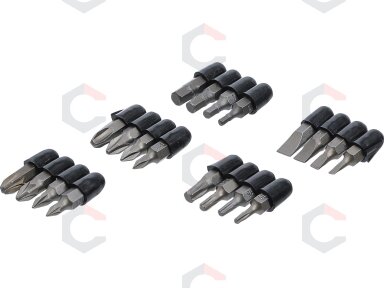 Antgalių komplektas | 6.3 mm (1/4") | 20 vnt. (4830)