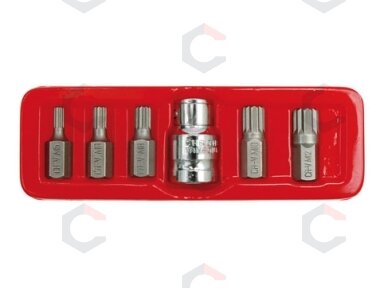 Antgalių rinkinys 6 dalių, SPLINE 30 mm ilgio (66760) Antgalių rinkinys 6 dalių, SPLINE 30 mm ilgio (66760)