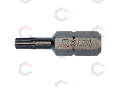 Antgalių rinkinys | 6.3 mm (1/4") | T-star (Torx) T15 | S2 | 10 vnt. (YT-78142)