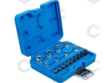 Antgalių rinkinys | E-Type / T-Star (Torx) | 17 vnt. (5023)