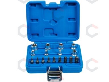 Antgalių rinkinys | E-Type / T-Star (Torx) | 17 vnt. (5023)