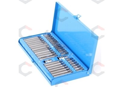 Antgalių rinkinys | metalinė dėžutė | 40 vnt. (66400)
