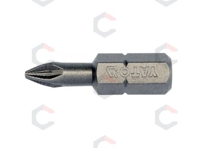 Antgalių rinkinys PZ1x25 10 vnt. (YT-04702)