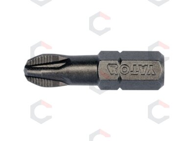 Antgalių rinkinys PZ3x25 mm 10 vnt. (YT-04722)