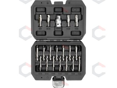Antgalių rinkinys | sugadintiems T-Star (Torx) ir Hex | 19 vnt. (YT-04584)