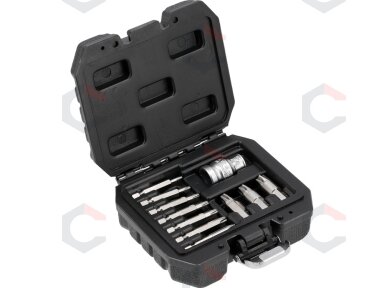 Antgalių rinkinys | sugadintiems T-Star (Torx) su skyle | 11 vnt. (YT-04582)